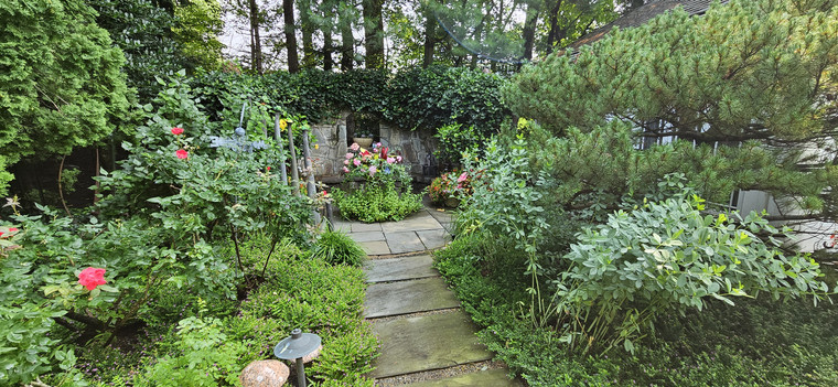 Shaded bluestone garden path with roses, perennials, and ivy-covered stone wall