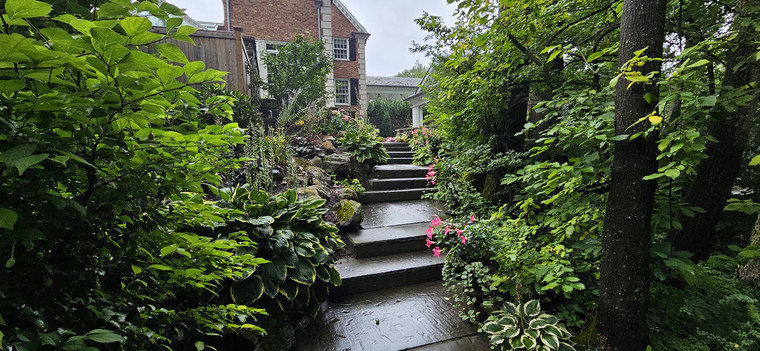 Stone steps lined with hostas, ferns, and shade perennials