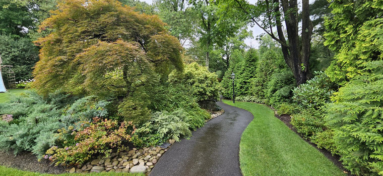 Driveway border with Japanese maple, river stone, and layered woodland plantings
