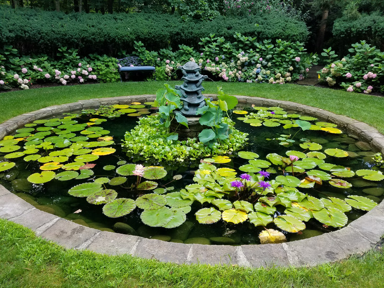 Circular stone-edged lily pond with pagoda fountain and blooming hydrangeas