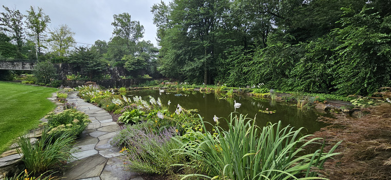 Naturalistic pond with stone retaining wall, flagstone path, and lush perennial border