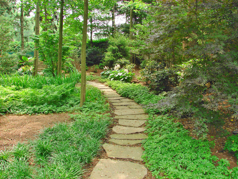 Natural flagstone stepping-stone path winding through a shaded woodland garden